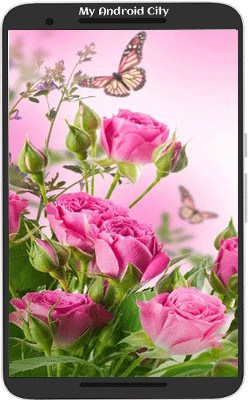 5 बेस्ट गुलाब के फूल वॉलपेपर फोटो डाउनलोड करें HD - My Android City
