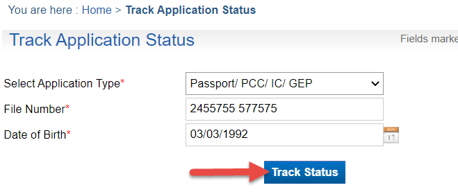 check-passport-status